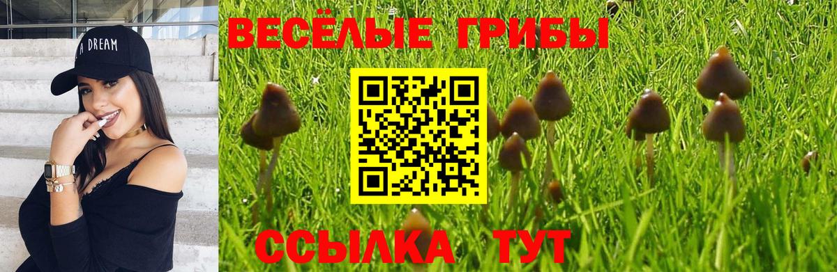 Сорочинск  Галлюциногенные грибы Psilocybe  Вход с VPN 